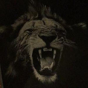 Meet your Posher, Pam